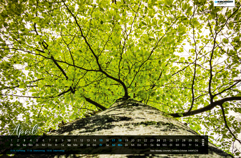 ECO_apr (1)