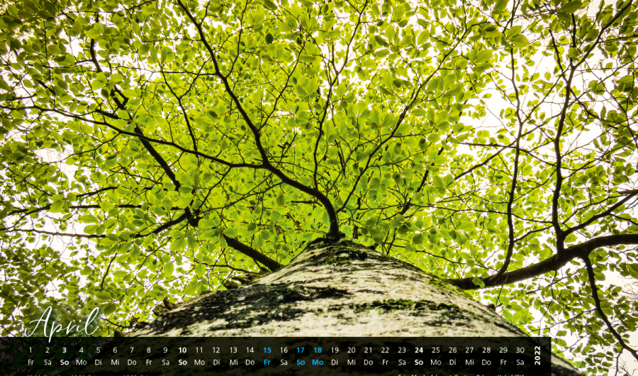 ECO_apr (1)