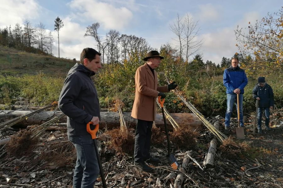 Tree-planting event in Attendorn